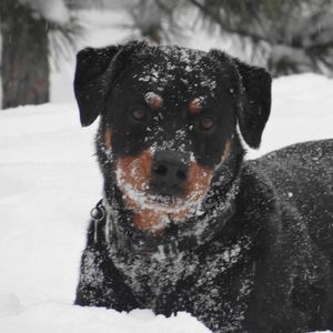 Meet your Posher, Laurie